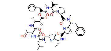 Grassypeptolide A